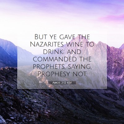 Picture 07 - Amos 2:12 KJV - But ye gave the Nazarites wine to drink; and - Bible Verse Picture