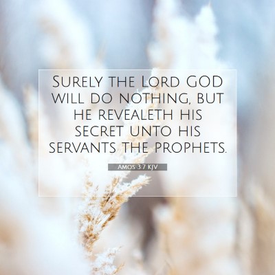 Picture 07 - Amos 3:7 KJV - Surely the Lord GOD will do nothing, but he - Bible Verse Picture