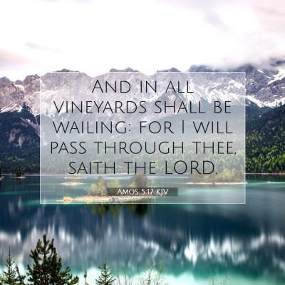 Picture 07 - Amos 5:17 KJV - And in all vineyards shall be wailing: for I will - Bible Verse Picture