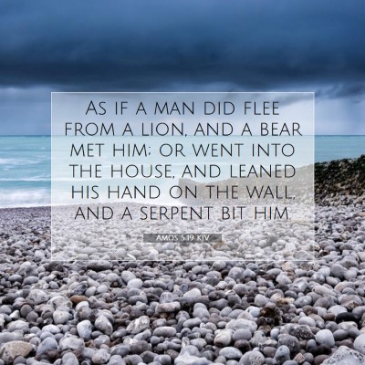 Picture 07 - Amos 5:19 KJV - As if a man did flee from a lion, and a bear met - Bible Verse Picture