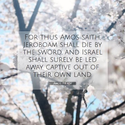 Picture 07 - Amos 7:11 KJV - For thus Amos saith, Jeroboam shall die by the - Bible Verse Picture
