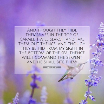 Picture 07 - Amos 9:3 KJV - And though they hide themselves in the top of - Bible Verse Picture