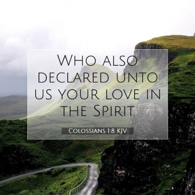Picture 07 - Colossians 1:8 KJV - Who also declared unto us your love in the - Bible Verse Picture