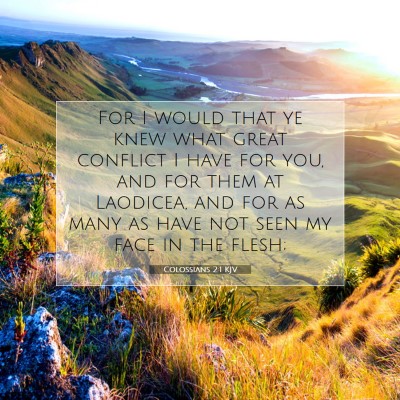 Picture 07 - Colossians 2:1 KJV - For I would that ye knew what great conflict I - Bible Verse Picture