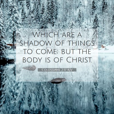 Picture 07 - Colossians 2:17 KJV - Which are a shadow of things to come; but the - Bible Verse Picture
