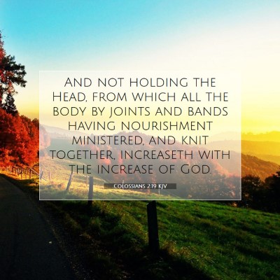 Picture 07 - Colossians 2:19 KJV - And not holding the Head, from which all the body - Bible Verse Picture