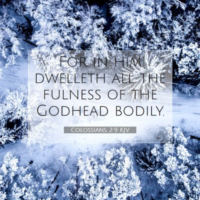 Picture 07 - Colossians 2:9 KJV - For in him dwelleth all the fulness of the - Bible Verse Picture
