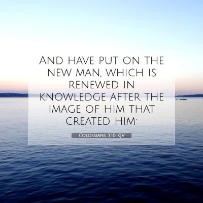 Picture 07 - Colossians 3:10 KJV - And have put on the new man, which is renewed in - Bible Verse Picture