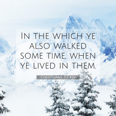 Picture 07 - Colossians 3:7 KJV - In the which ye also walked some time, when ye - Bible Verse Picture