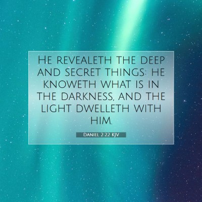 Picture 07 - Daniel 2:22 KJV - He revealeth the deep and secret things: he - Bible Verse Picture