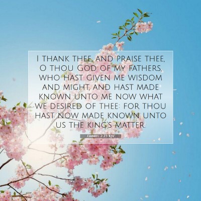 Picture 07 - Daniel 2:23 KJV - I thank thee, and praise thee, O thou God of my - Bible Verse Picture