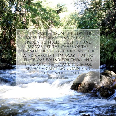 Picture 07 - Daniel 2:35 KJV - Then was the iron, the clay, the brass, the - Bible Verse Picture