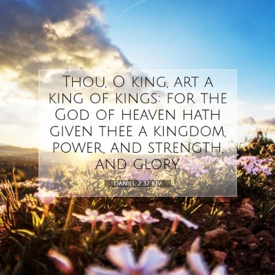 Picture 07 - Daniel 2:37 KJV - Thou, O king, art a king of kings: for the God of - Bible Verse Picture