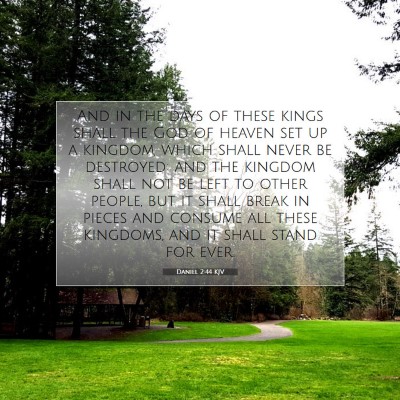 Picture 07 - Daniel 2:44 KJV - And in the days of these kings shall the God of - Bible Verse Picture