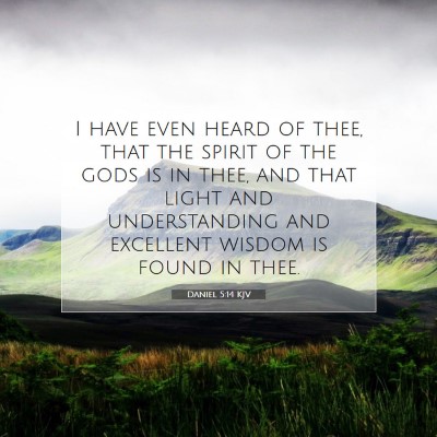 Picture 07 - Daniel 5:14 KJV - I have even heard of thee, that the spirit of the - Bible Verse Picture