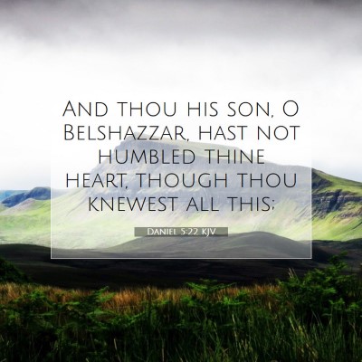 Picture 07 - Daniel 5:22 KJV - And thou his son, O Belshazzar, hast not humbled - Bible Verse Picture