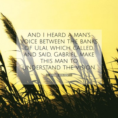 Picture 07 - Daniel 8:16 KJV - And I heard a man's voice between the banks of - Bible Verse Picture