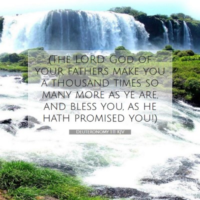 Picture 07 - Deuteronomy 1:11 KJV - (The LORD God of your fathers make you a thousand - Bible Verse Picture