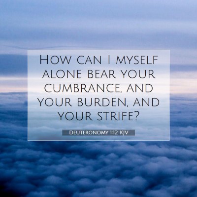 Picture 07 - Deuteronomy 1:12 KJV - How can I myself alone bear your cumbrance, and - Bible Verse Picture