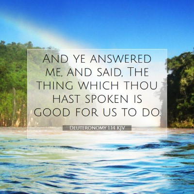 Picture 07 - Deuteronomy 1:14 KJV - And ye answered me, and said, The thing which - Bible Verse Picture