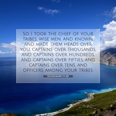 Picture 07 - Deuteronomy 1:15 KJV - So I took the chief of your tribes, wise men, and - Bible Verse Picture
