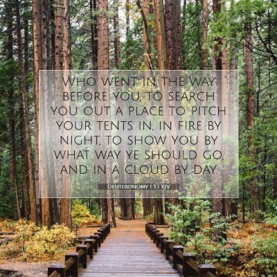 Picture 07 - Deuteronomy 1:33 KJV - Who went in the way before you, to search you out - Bible Verse Picture