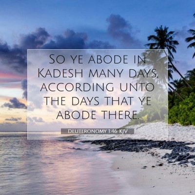 Picture 07 - Deuteronomy 1:46 KJV - So ye abode in Kadesh many days, according unto - Bible Verse Picture