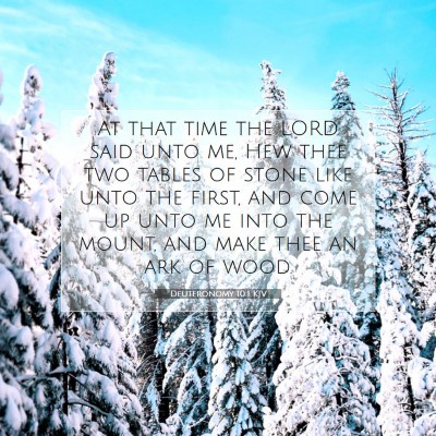 Picture 07 - Deuteronomy 10:1 KJV - At that time the LORD said unto me, Hew thee two - Bible Verse Picture