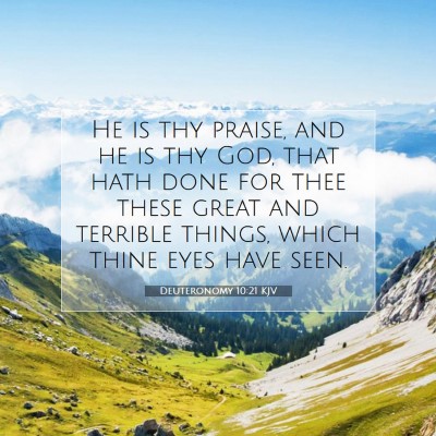 Picture 07 - Deuteronomy 10:21 KJV - He is thy praise, and he is thy God, that hath - Bible Verse Picture