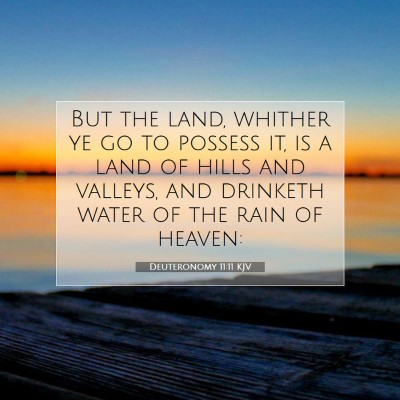 Picture 07 - Deuteronomy 11:11 KJV - But the land, whither ye go to possess it, is a - Bible Verse Picture