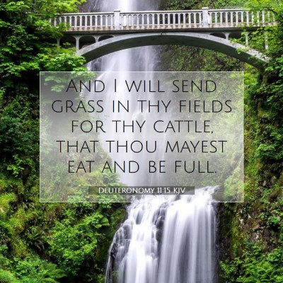 Picture 07 - Deuteronomy 11:15 KJV - And I will send grass in thy fields for thy - Bible Verse Picture