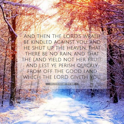 Picture 07 - Deuteronomy 11:17 KJV - And then the LORD's wrath be kindled against you, - Bible Verse Picture