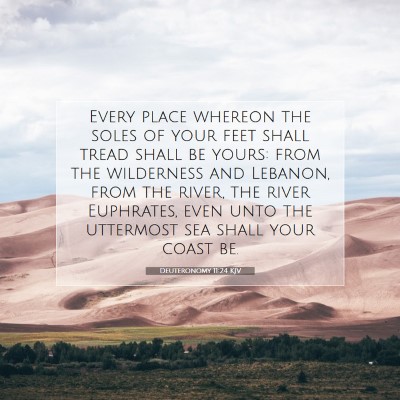 Picture 07 - Deuteronomy 11:24 KJV - Every place whereon the soles of your feet shall - Bible Verse Picture