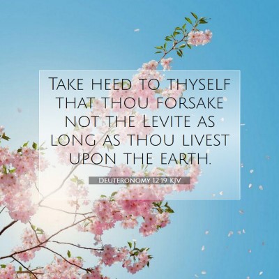 Picture 07 - Deuteronomy 12:19 KJV - Take heed to thyself that thou forsake not the - Bible Verse Picture