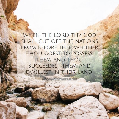 Picture 07 - Deuteronomy 12:29 KJV - When the LORD thy God shall cut off the nations - Bible Verse Picture