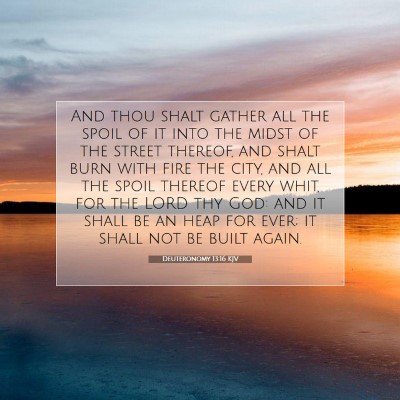 Picture 07 - Deuteronomy 13:16 KJV - And thou shalt gather all the spoil of it into - Bible Verse Picture