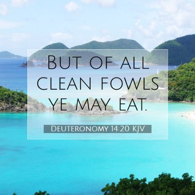 Picture 07 - Deuteronomy 14:20 KJV - But of all clean fowls ye may - Bible Verse Picture