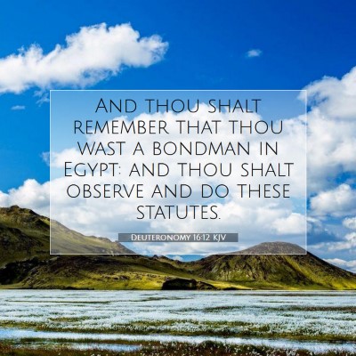 Picture 07 - Deuteronomy 16:12 KJV - And thou shalt remember that thou wast a bondman - Bible Verse Picture