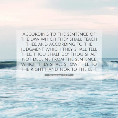 Picture 07 - Deuteronomy 17:11 KJV - According to the sentence of the law which they - Bible Verse Picture