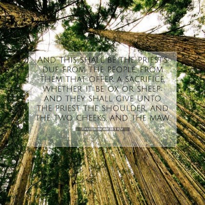 Picture 07 - Deuteronomy 18:3 KJV - And this shall be the priest's due from the - Bible Verse Picture