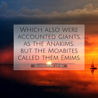Picture 07 - Deuteronomy 2:11 KJV - Which also were accounted giants, as the Anakims; - Bible Verse Picture