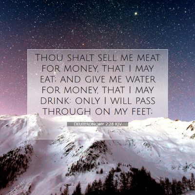Picture 07 - Deuteronomy 2:28 KJV - Thou shalt sell me meat for money, that I may - Bible Verse Picture