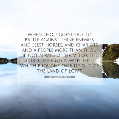 Picture 07 - Deuteronomy 20:1 KJV - When thou goest out to battle against thine - Bible Verse Picture