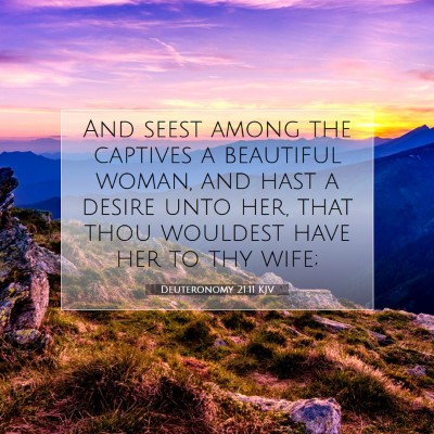 Picture 07 - Deuteronomy 21:11 KJV - And seest among the captives a beautiful woman, - Bible Verse Picture