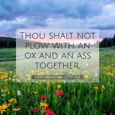 Picture 07 - Deuteronomy 22:10 KJV - Thou shalt not plow with an ox and an ass - Bible Verse Picture
