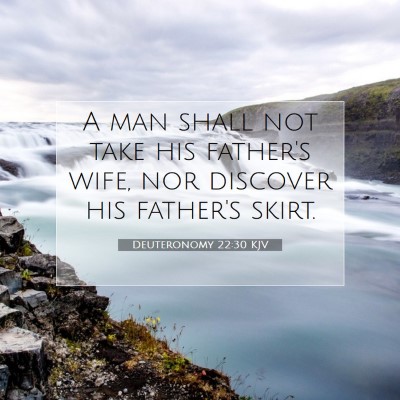 Picture 07 - Deuteronomy 22:30 KJV - A man shall not take his father's wife, nor - Bible Verse Picture