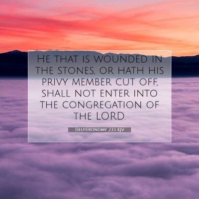 Picture 07 - Deuteronomy 23:1 KJV - He that is wounded in the stones, or hath his - Bible Verse Picture