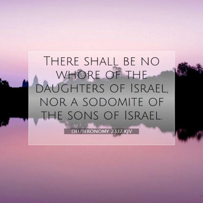 Picture 07 - Deuteronomy 23:17 KJV - There shall be no whore of the daughters of - Bible Verse Picture