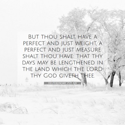 Picture 07 - Deuteronomy 25:15 KJV - But thou shalt have a perfect and just weight, a - Bible Verse Picture