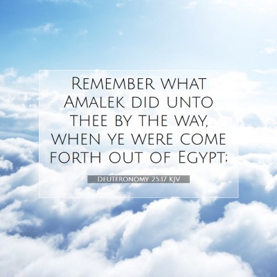 Picture 07 - Deuteronomy 25:17 KJV - Remember what Amalek did unto thee by the way, - Bible Verse Picture
